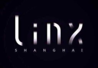 linx写真,LINX写真艺术概览